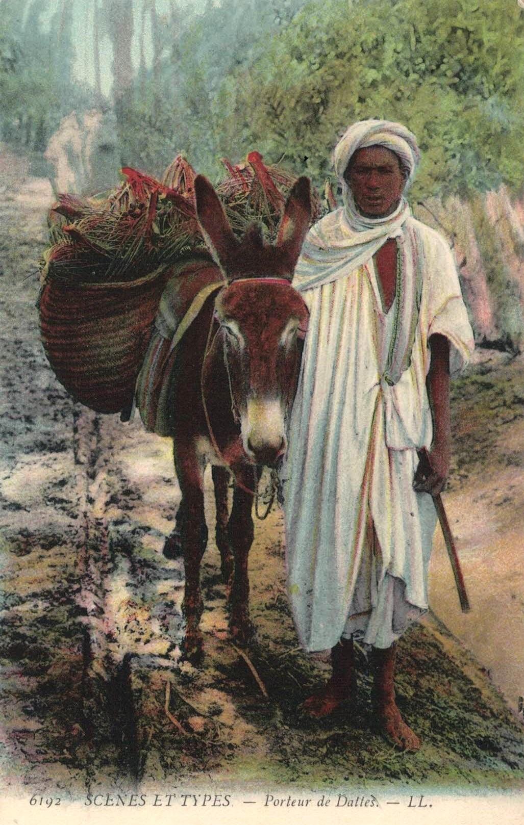 Fellah32