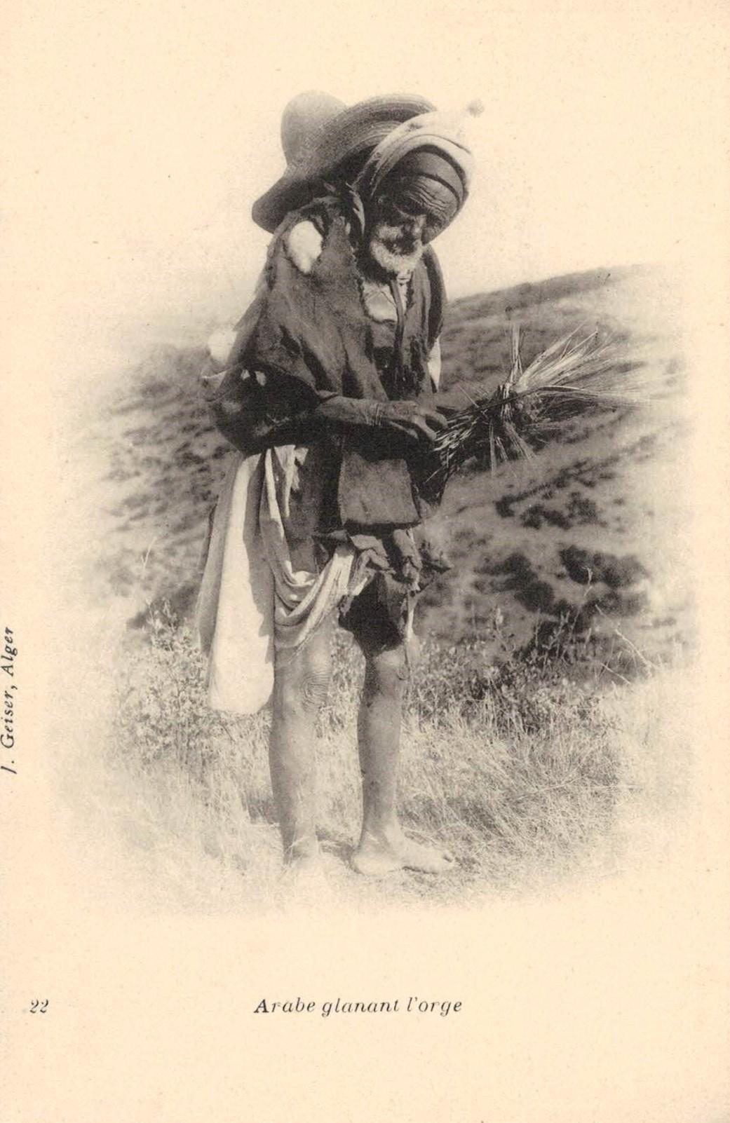 Fellah34